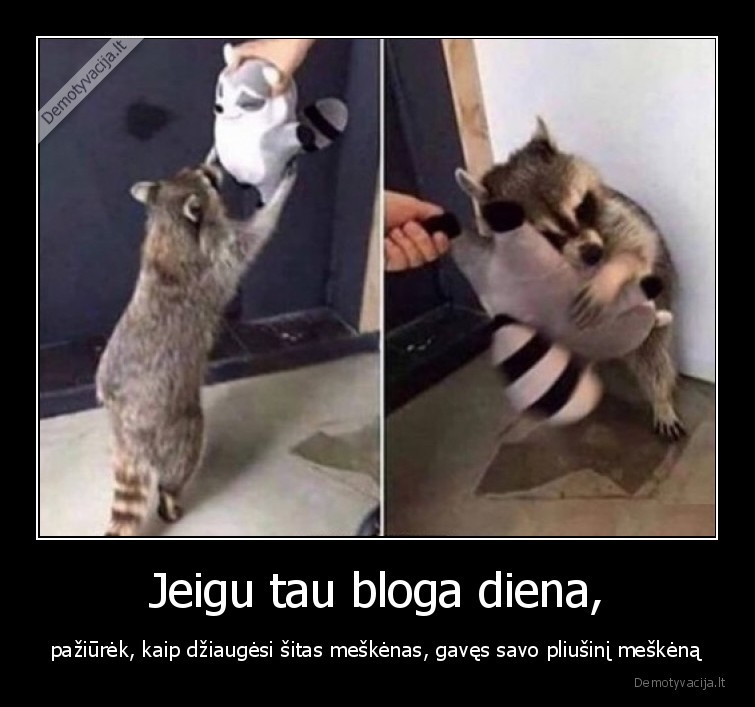 meskenas,zaislas,laime