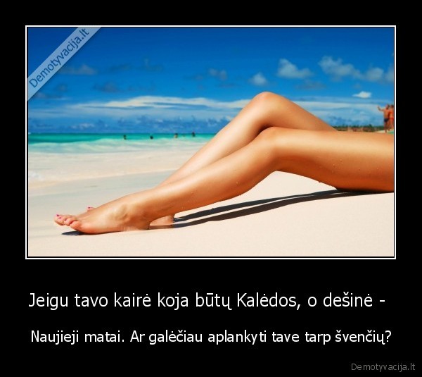 kojos,atostogos,sventes,seksas