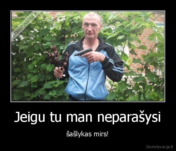 saslykas,pavojingas,saudyti