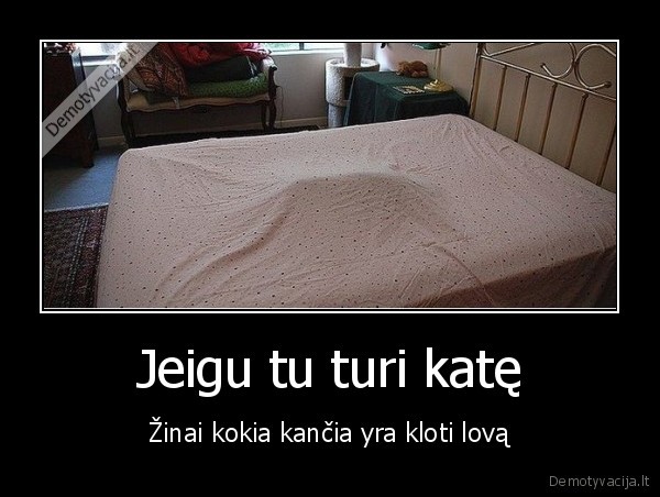 nauja, patalyne,kate