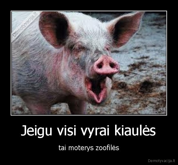 Jeigu visi vyrai kiaulės