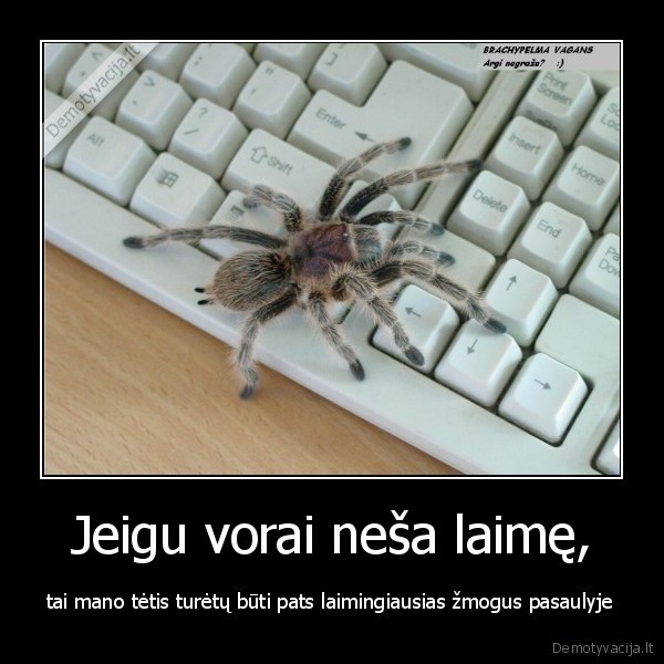 aaaateti, vorassugauk, ji