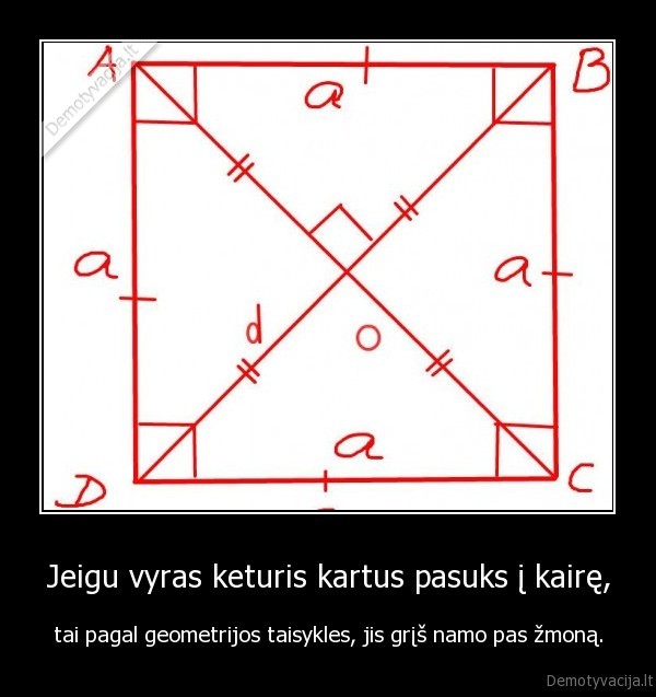 geometrija,vyras,zmona