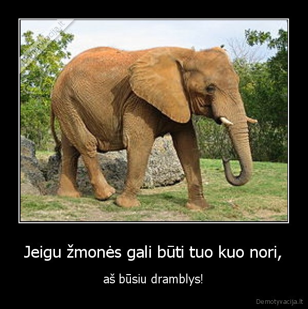 Jeigu žmonės gali būti tuo kuo nori,