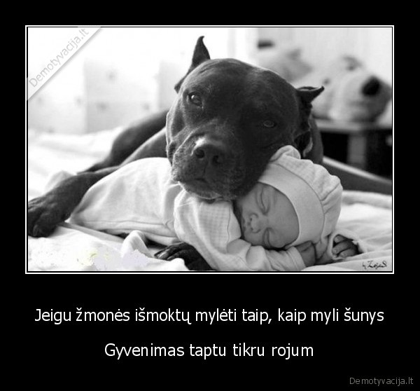 suns, meile,augintinio, meile