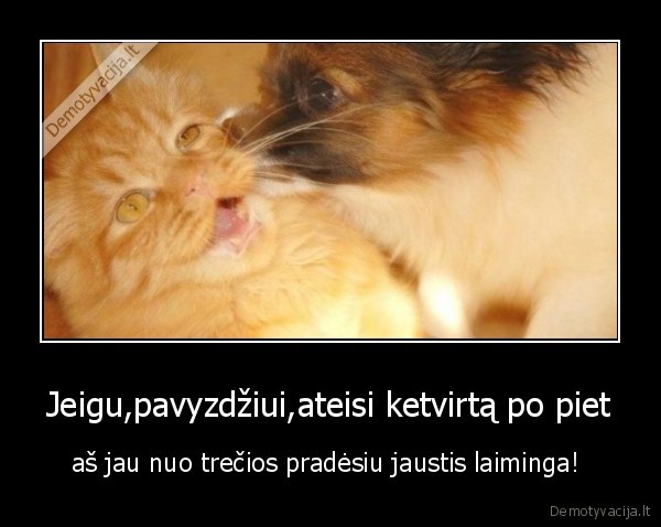 Jeigu,pavyzdžiui,ateisi ketvirtą po piet