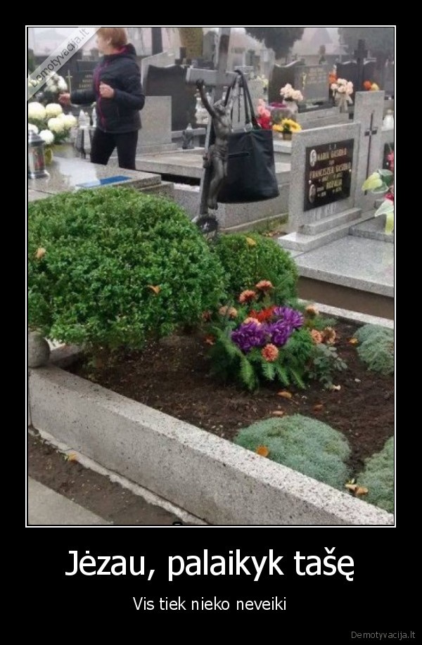 kapines,velines,kryzelis