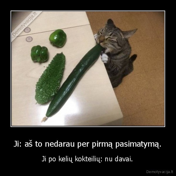 blowjob,kate,katinas,mergina