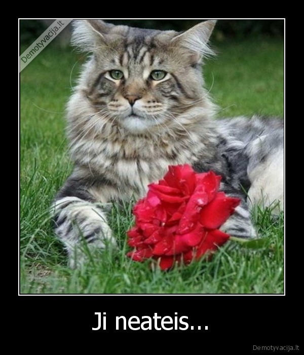 Ji neateis...