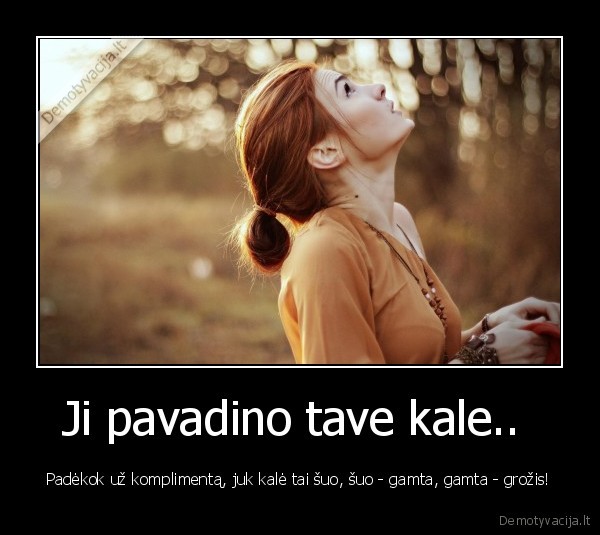 grozis,gamta,gyvenimas