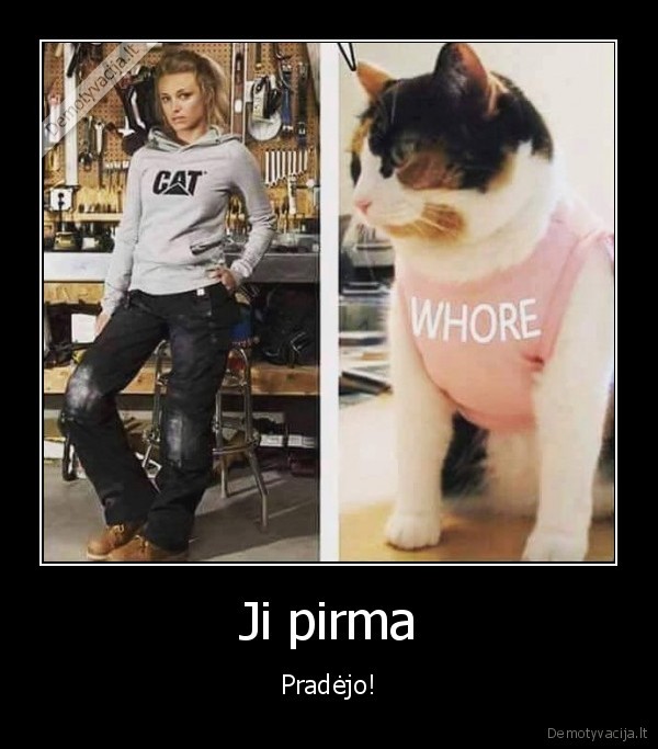 cat, dzemperis,whore, dzemperis