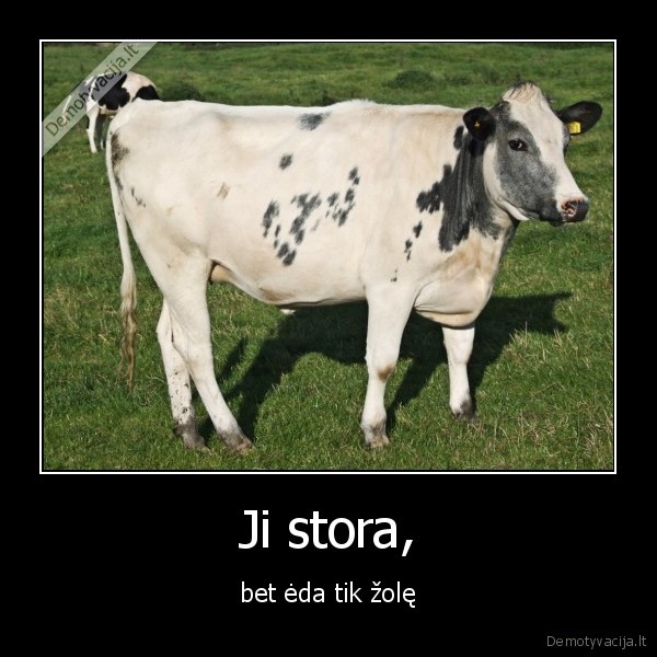 Ji stora,