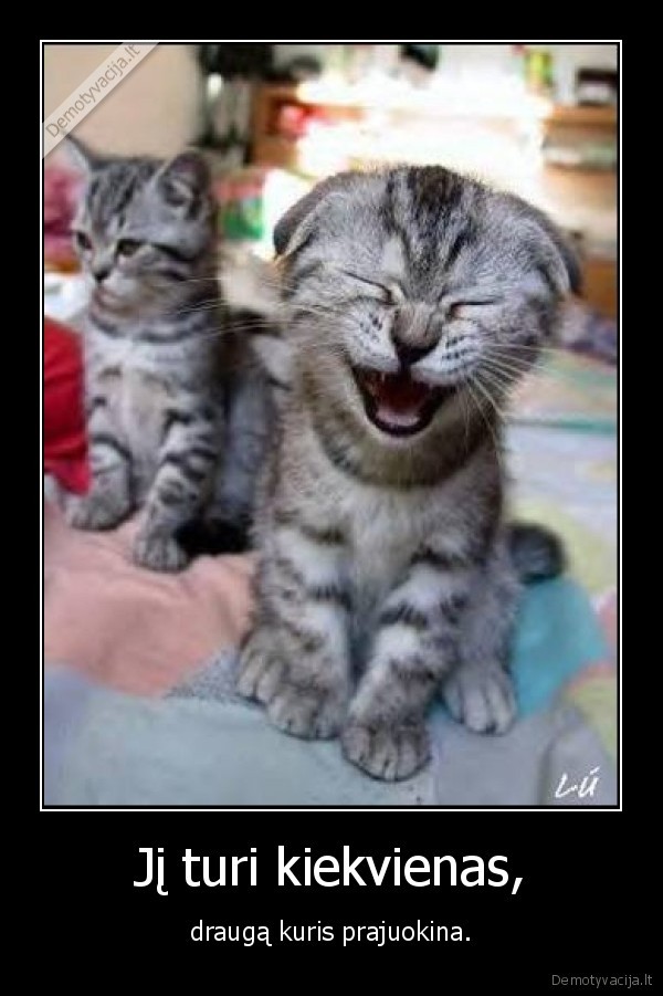 draugas,katinas,juokas,kubilius