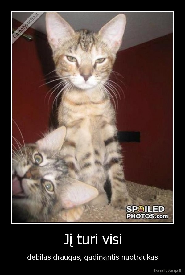 debilas, draugas,gadinantis, nuotraukas