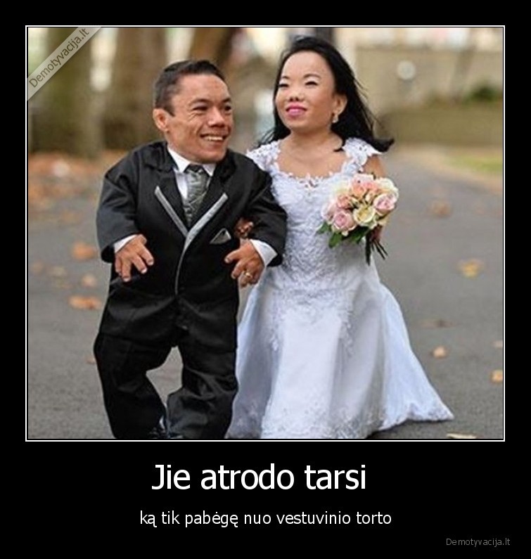 vestuves,tortas,mazi,nykstukai