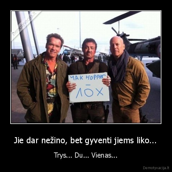 chuck, norris, the, best