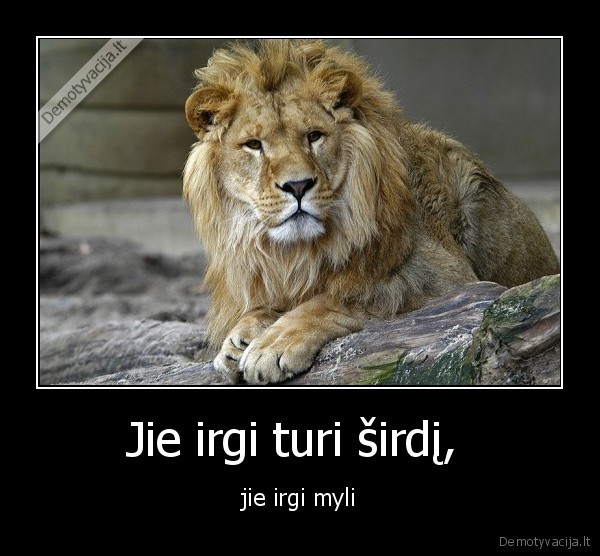 Jie irgi turi širdį, 