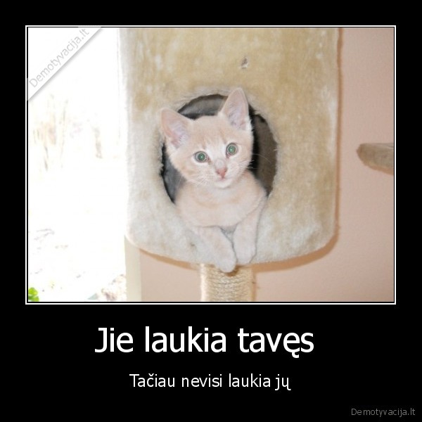 Jie laukia tavęs 