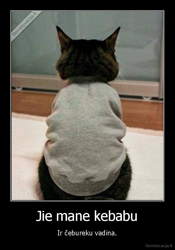 ceburekas,kebabas,kaciukas