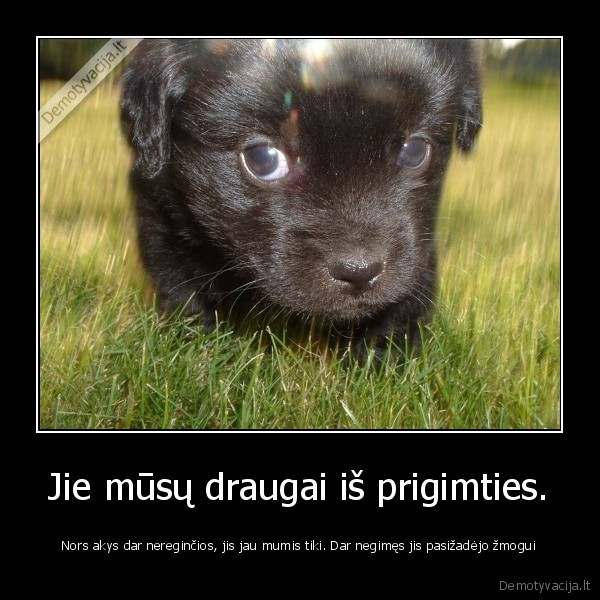 Jie mūsų draugai iš prigimties.