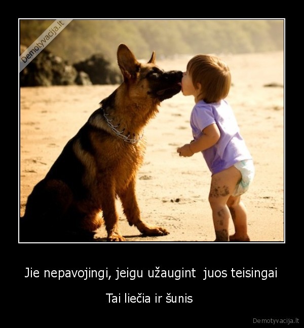 Jie nepavojingi, jeigu užaugint  juos teisingai