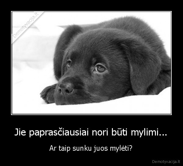 Jie paprasčiausiai nori būti mylimi...