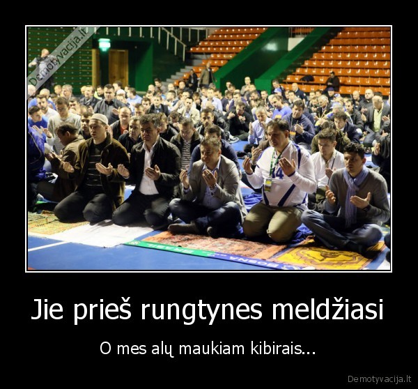 alus,maldos,bosnijos, sirgaliai