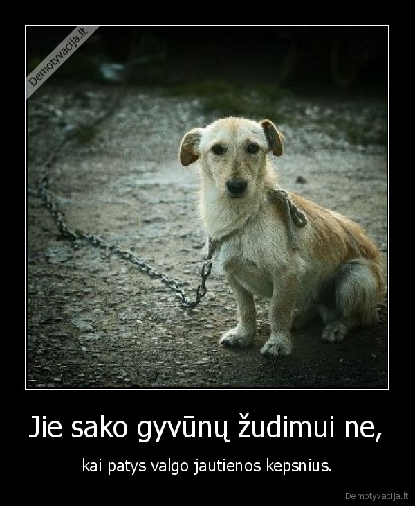 Jie sako gyvūnų žudimui ne,