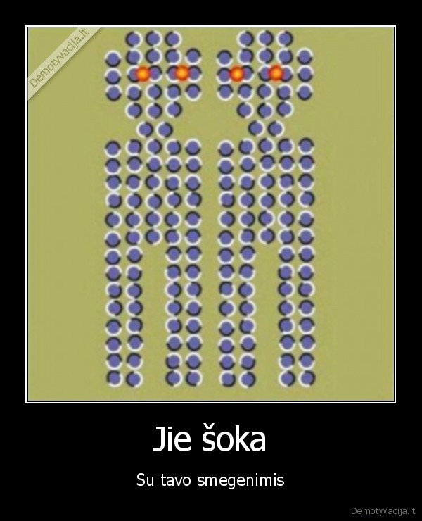 optine, apgaule,sokis,optika