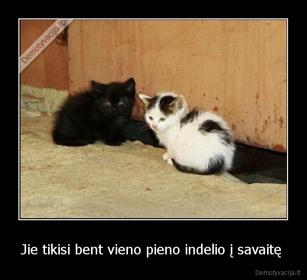 Jie tikisi bent vieno pieno indelio į savaitę 