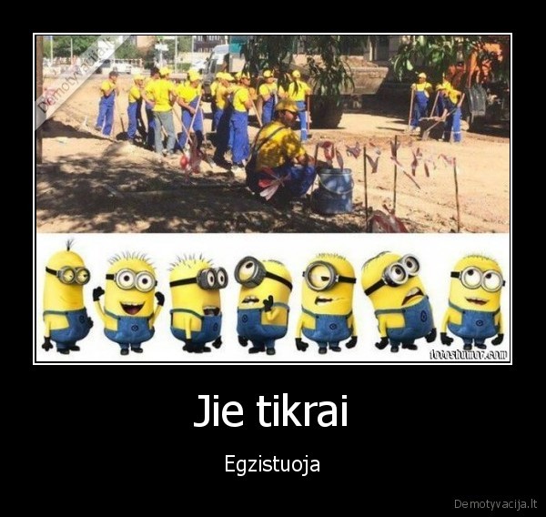 pakalikai,pimpackiukai,minions