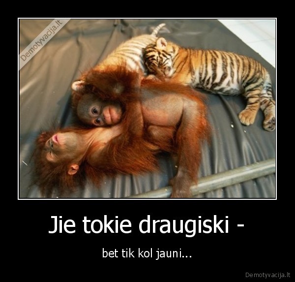 Jie tokie draugiski -