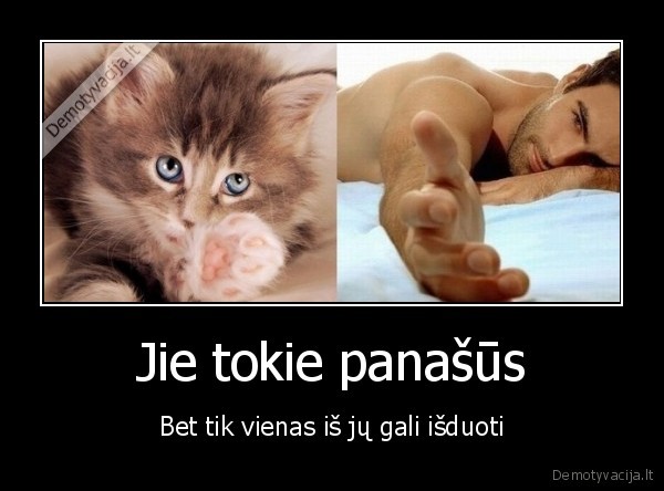 isdavyste,vyras,kaciukas