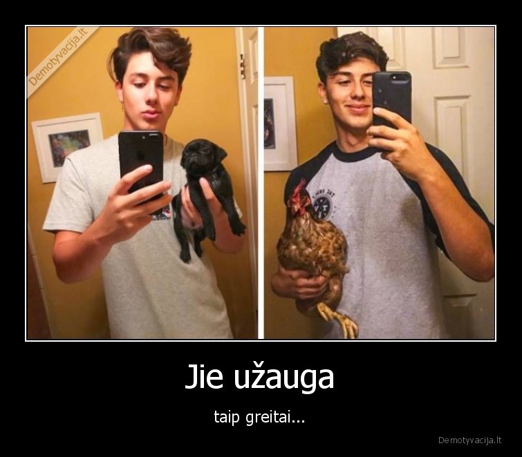 vista,suniukas,augimas,wtf