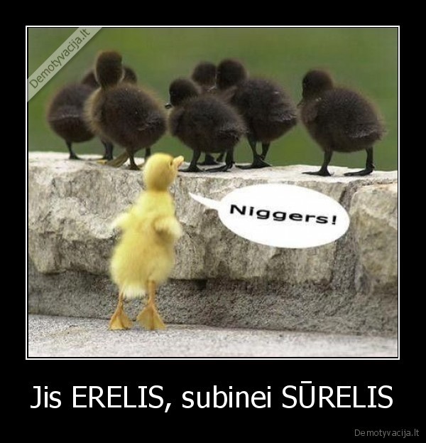 Jis ERELIS, subinei SŪRELIS