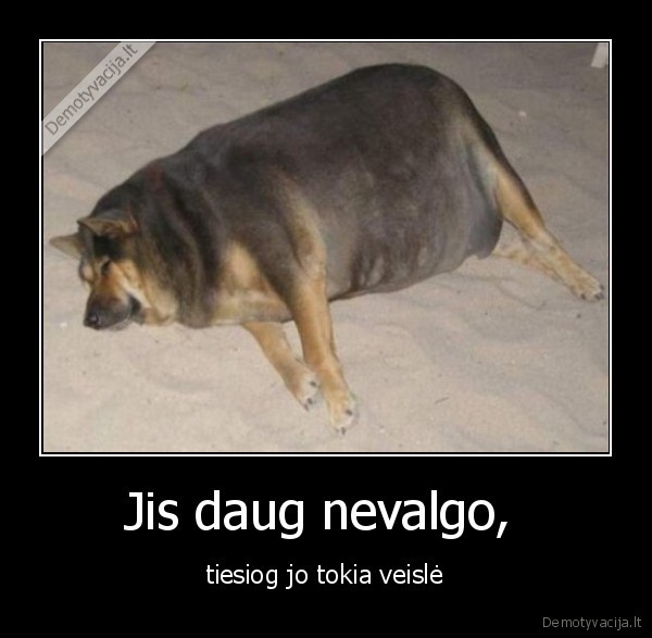 Jis daug nevalgo, 