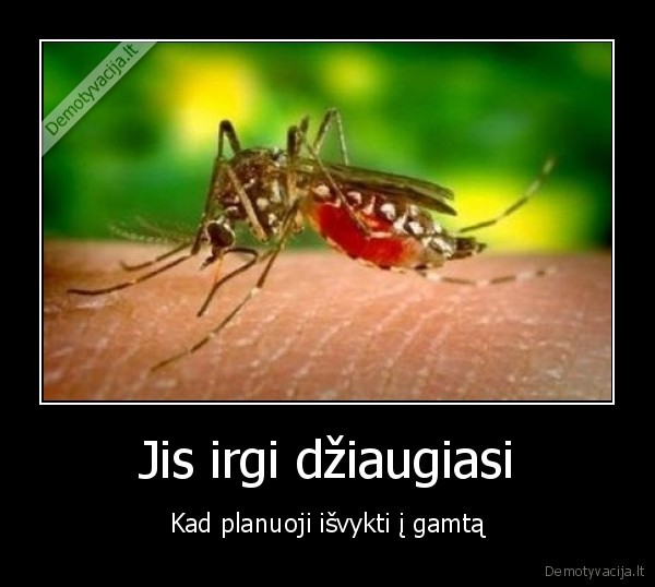 Jis irgi džiaugiasi