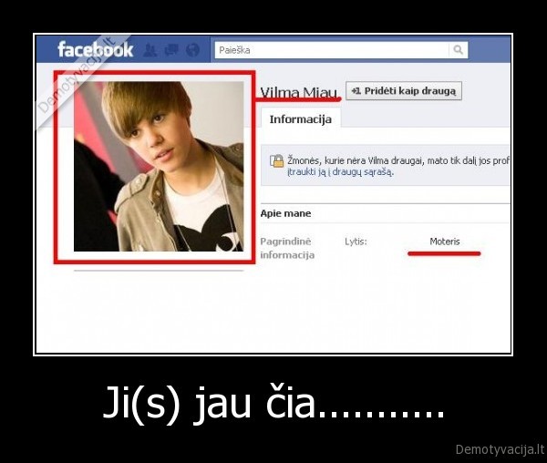 byberis, jau, lietuvoje., lietuva,byberis,vilma, miau,katinas