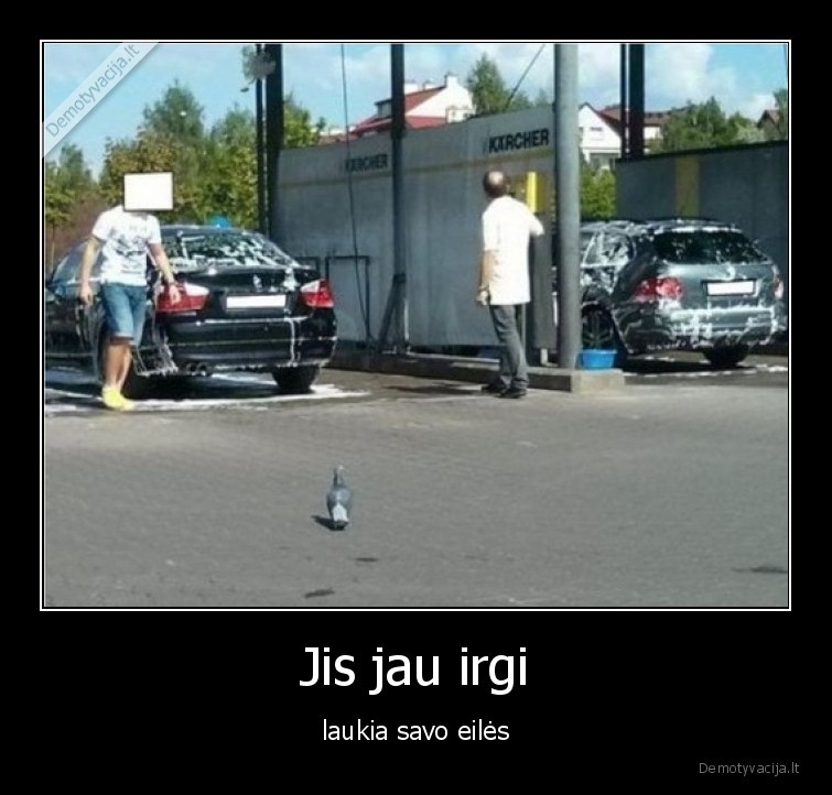 balandis,praustis,plovykla,masina