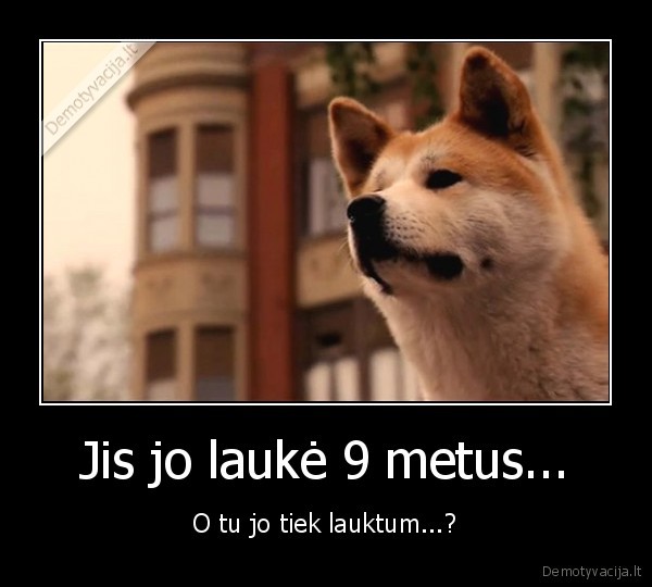 Jis jo laukė 9 metus...