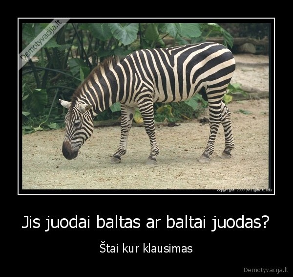 Jis juodai baltas ar baltai juodas?