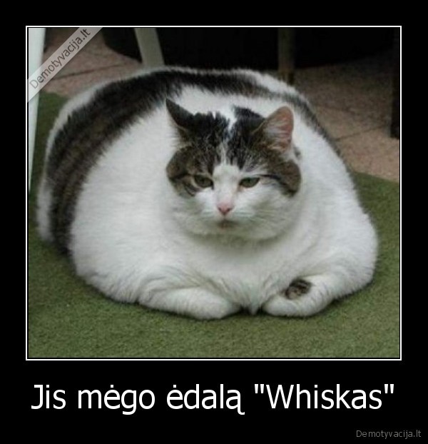 Jis mėgo ėdalą "Whiskas"