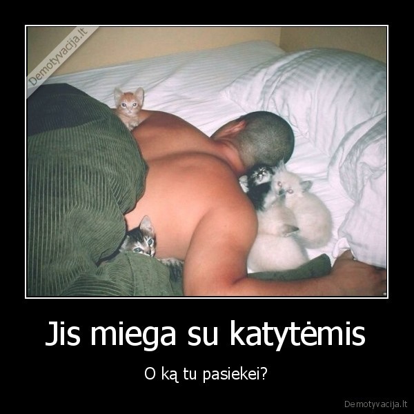 katytes,miega,vyras