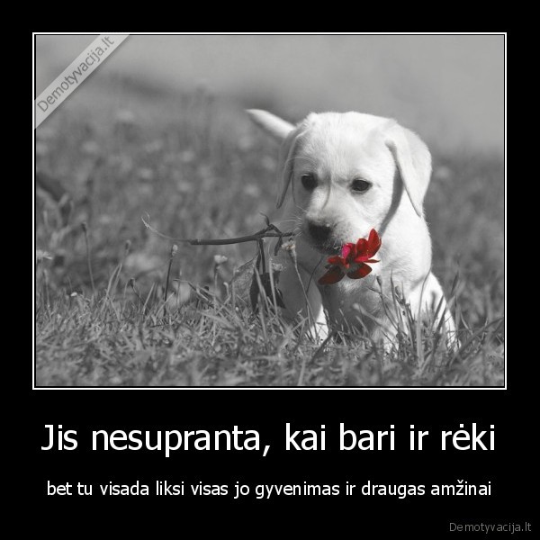 Jis nesupranta, kai bari ir rėki