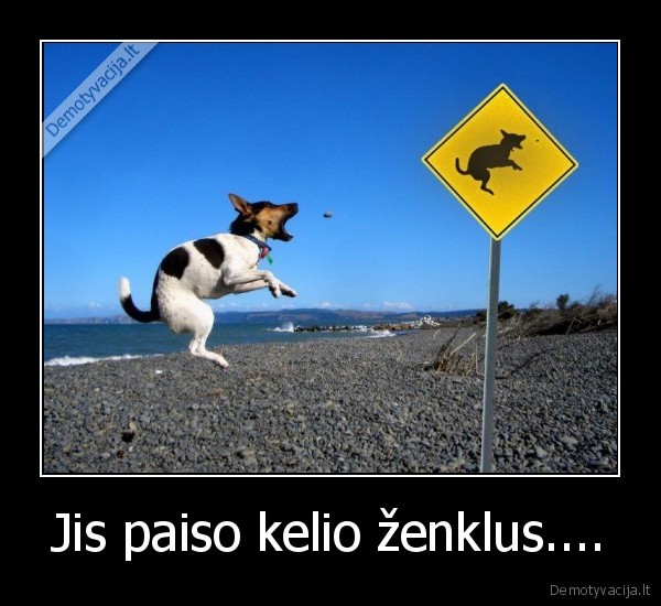 Jis paiso kelio ženklus....