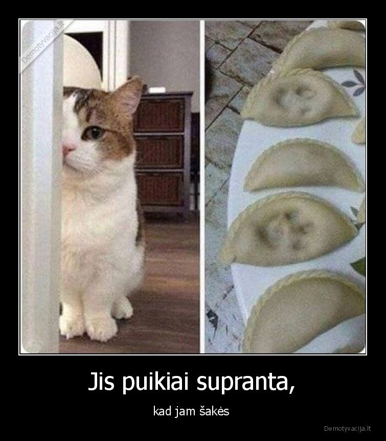 katinas,koldunai,sakes