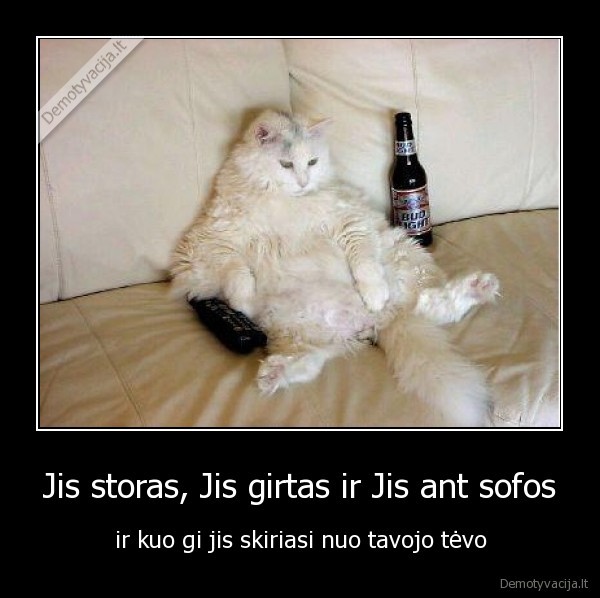 katinas,tevas,girtas,alus,girtas, katinas,storas