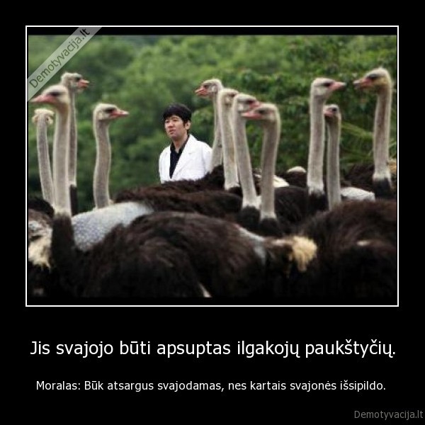 svajoti,apsuptas,paukstytes