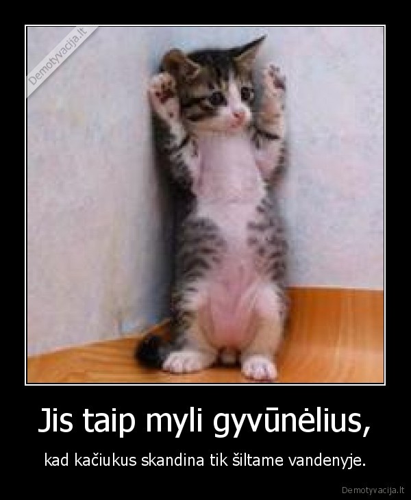 Jis taip myli gyvūnėlius,