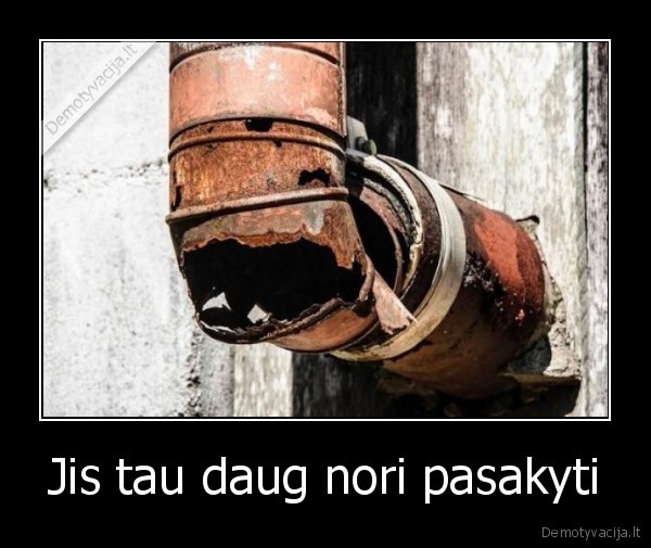 Jis tau daug nori pasakyti